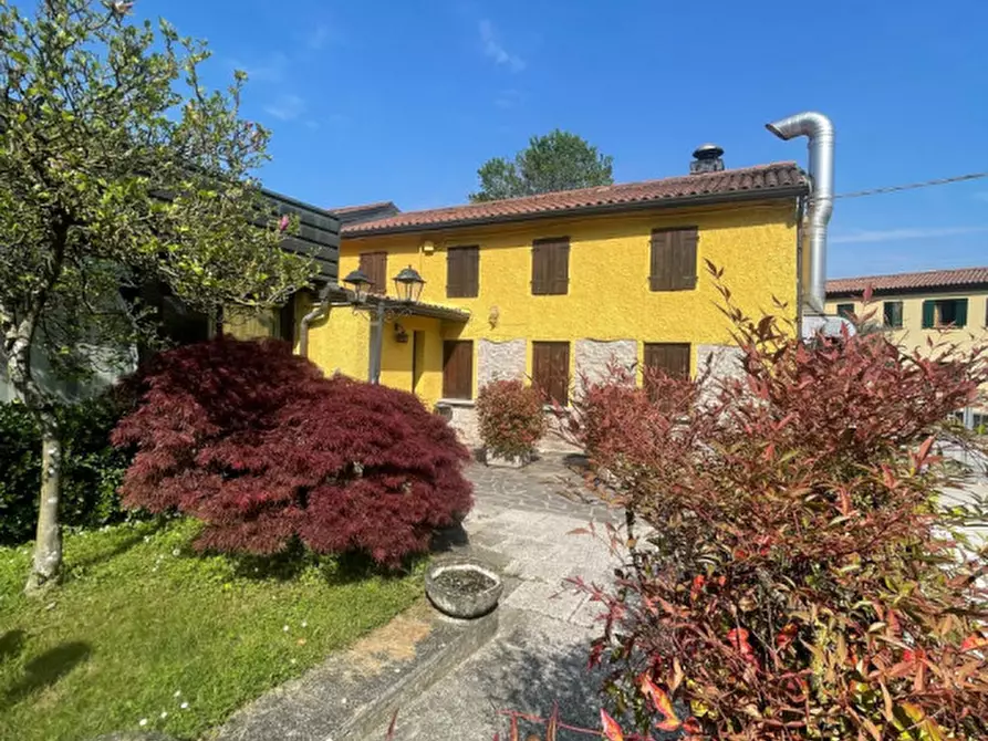 Immagine 1 di Attività commerciale in affitto  in Via Cogolo Destro a Montegrotto Terme