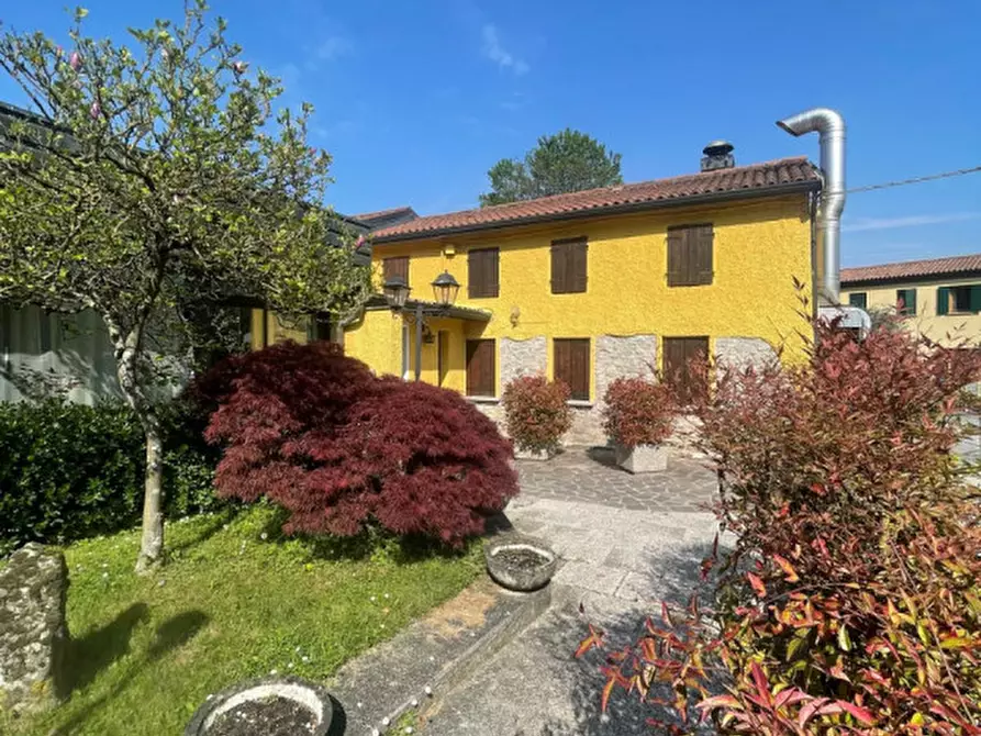 Immagine 2 di Attività commerciale in affitto  in Via Cogolo Destro a Montegrotto Terme