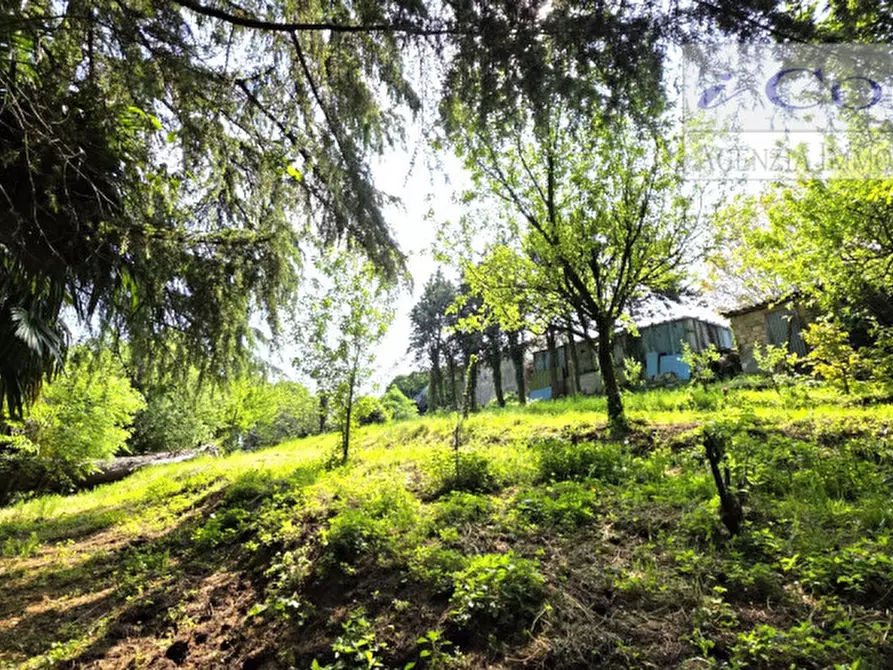 Immagine 4 di Rustico / casale in vendita  a Teolo