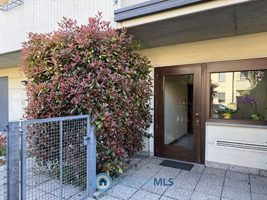 Immagine 17 di Appartamento in vendita  in Via Italo Svevo, a Vigodarzere