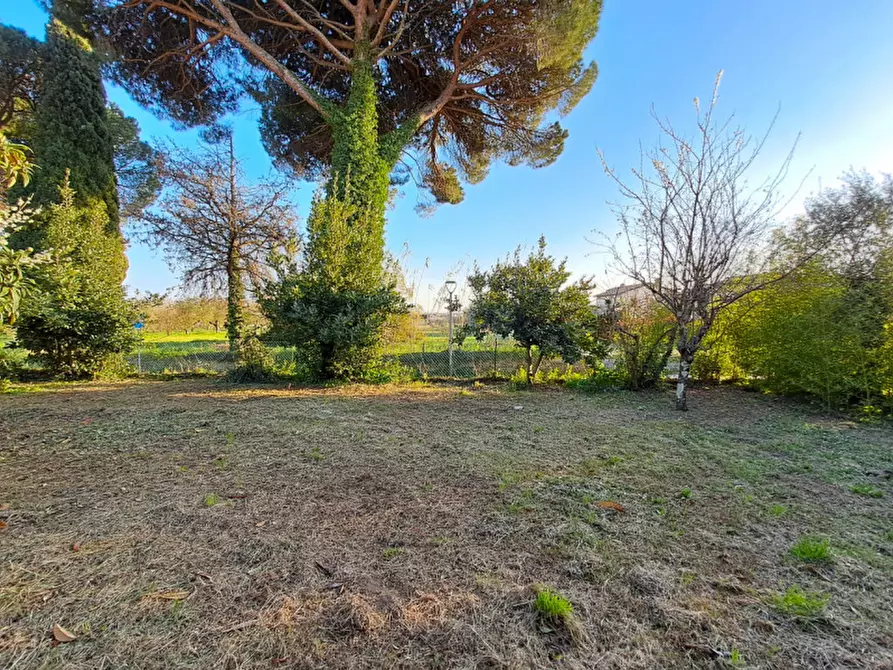 Immagine 2 di Casa bifamiliare in vendita  a Tuoro Sul Trasimeno