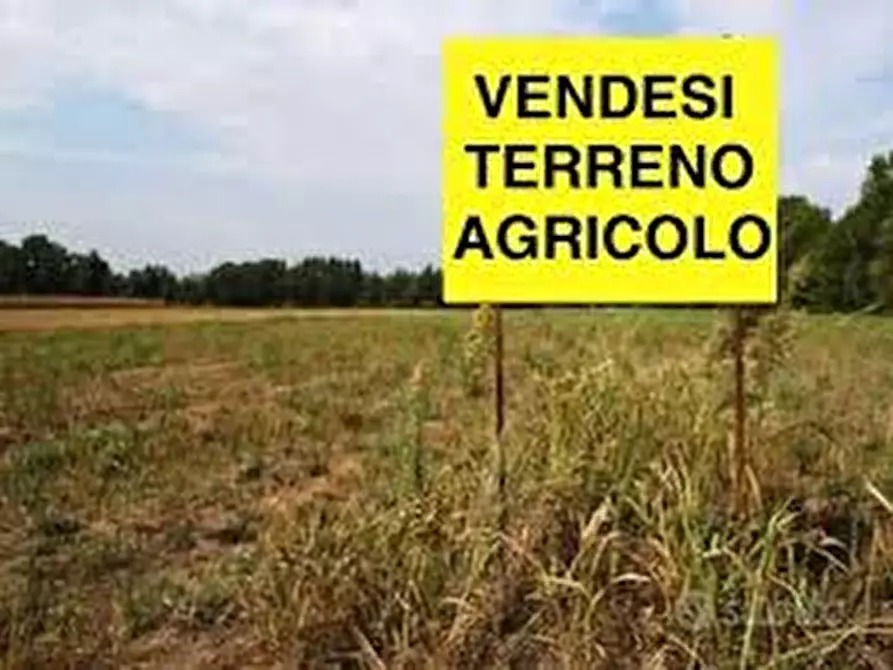 Immagine 1 di Terreno in vendita  in Via Cognaro a Villanova Di Camposampiero
