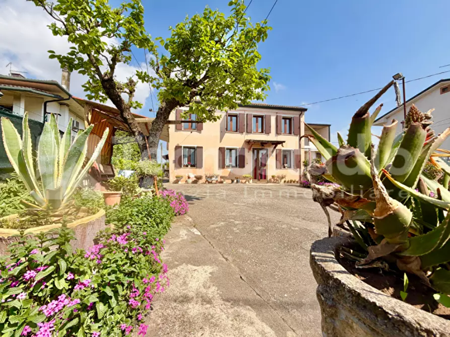 Immagine 1 di Casa indipendente in vendita  a Cologna Veneta