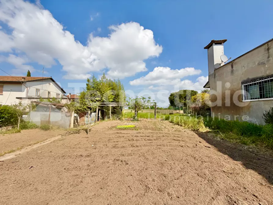 Immagine 10 di Casa indipendente in vendita  a Cologna Veneta