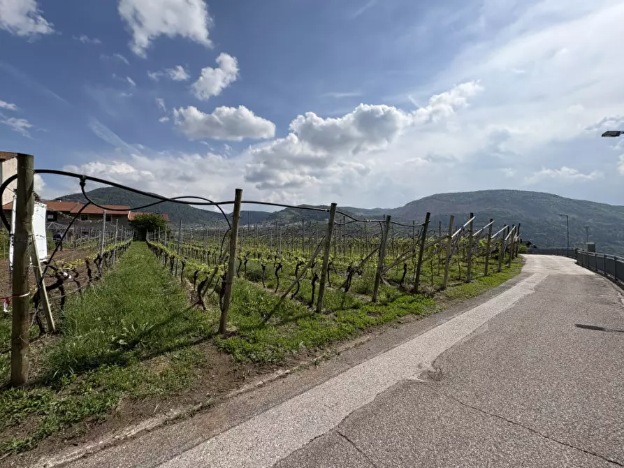Immagine 2 di Terreno in vendita  a Cembra Lisignago