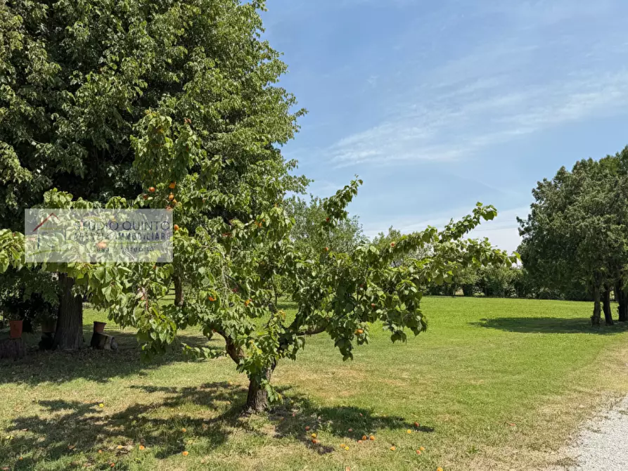 Immagine 7 di Villa in vendita  a Treviso
