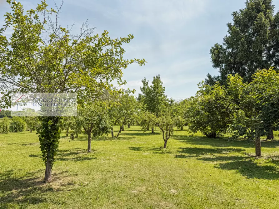 Immagine 11 di Villa in vendita  a Treviso