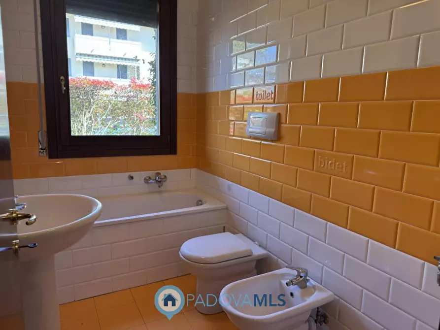 Immagine 8 di Appartamento in vendita  in VIA SVEVO a Vigodarzere