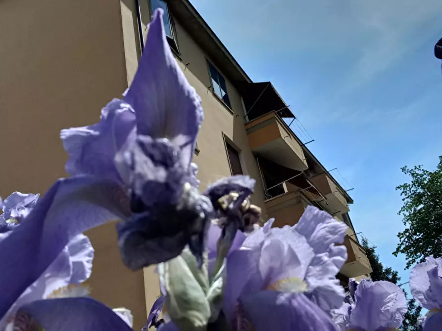 Immagine 16 di Appartamento in vendita  a Bologna