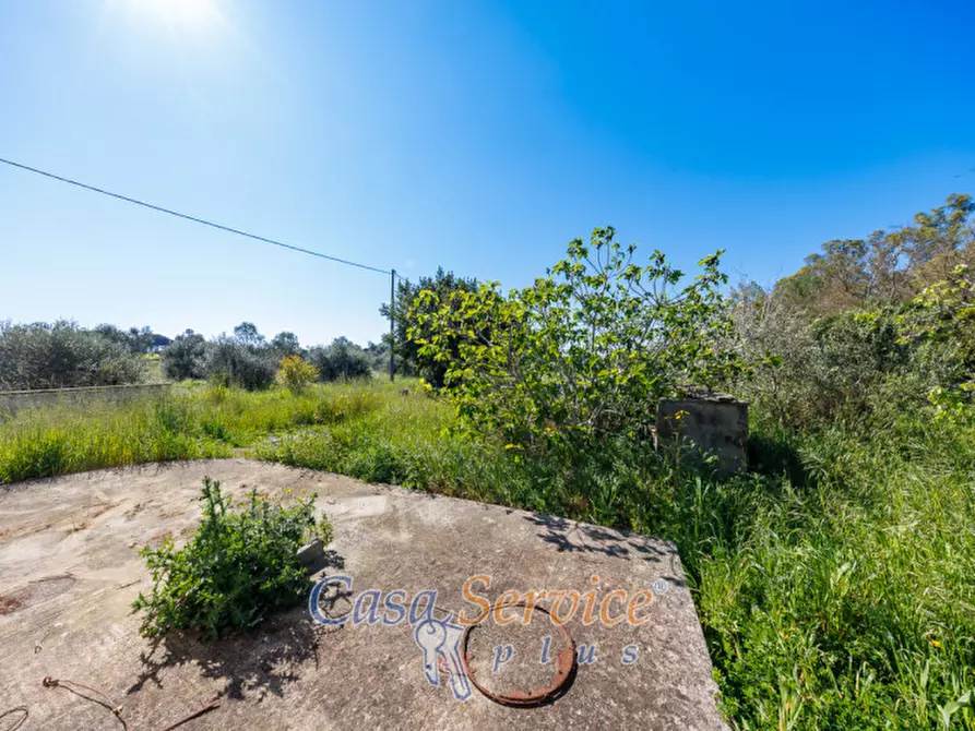 Immagine 19 di Casa indipendente in vendita  in Via Gallipoli a Alezio