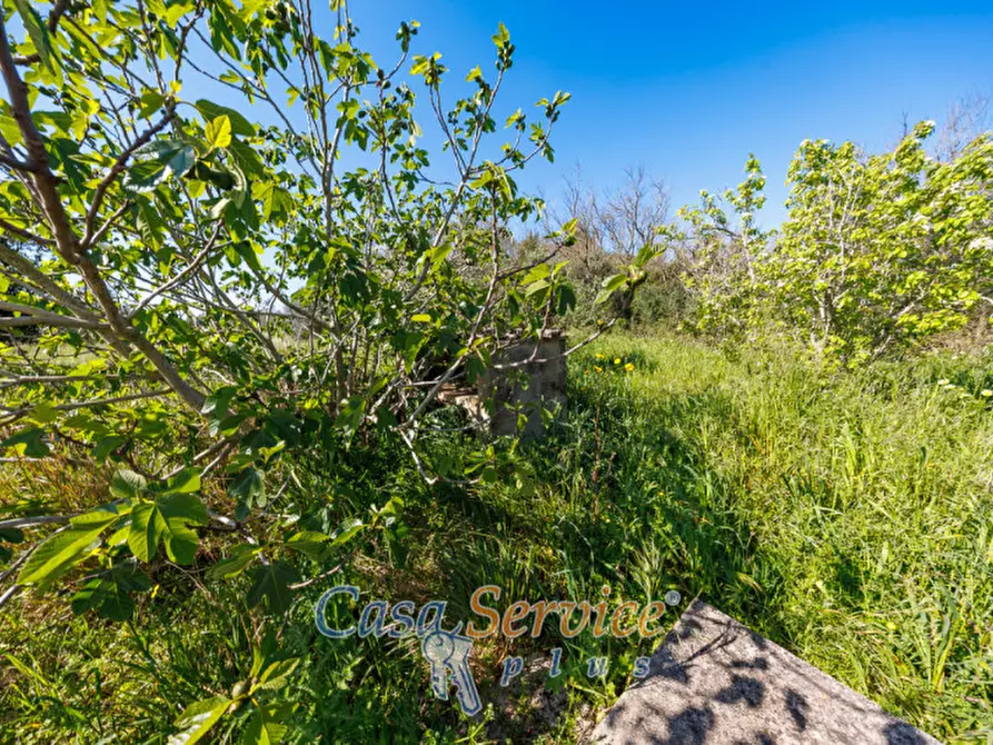 Immagine 20 di Casa indipendente in vendita  in Via Gallipoli a Alezio