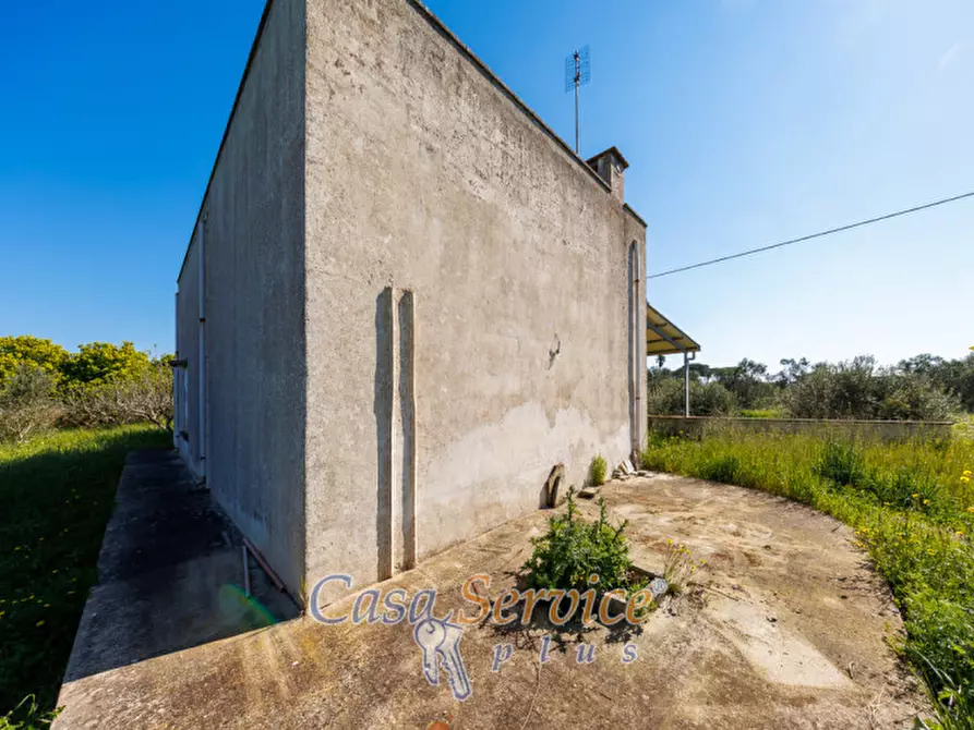 Immagine 21 di Casa indipendente in vendita  in Via Gallipoli a Alezio