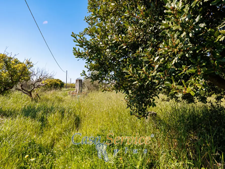 Immagine 22 di Casa indipendente in vendita  in Via Gallipoli a Alezio
