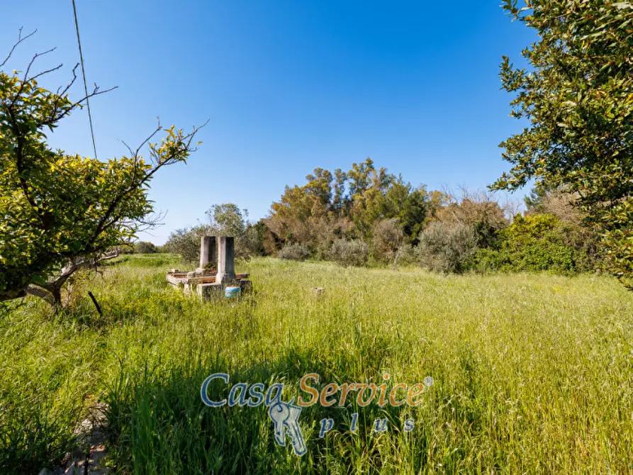 Immagine 23 di Casa indipendente in vendita  in Via Gallipoli a Alezio