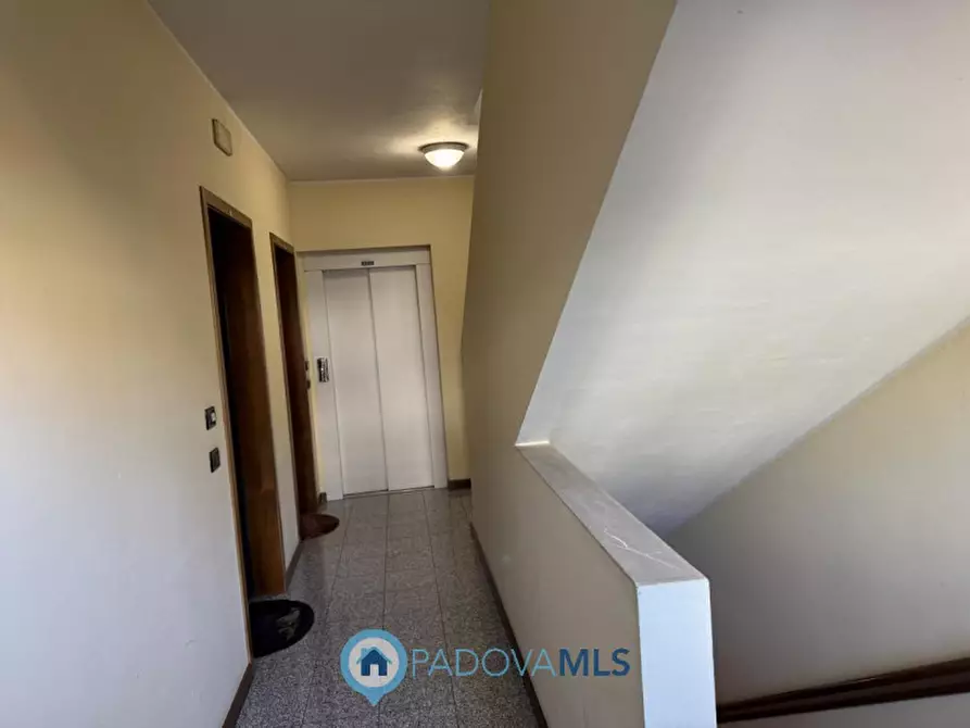 Immagine 21 di Appartamento in vendita  in via italo svevo, 1 a Vigodarzere