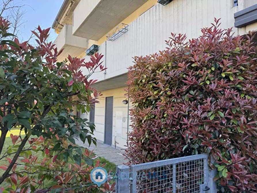 Immagine 23 di Appartamento in vendita  in via italo svevo, 1 a Vigodarzere