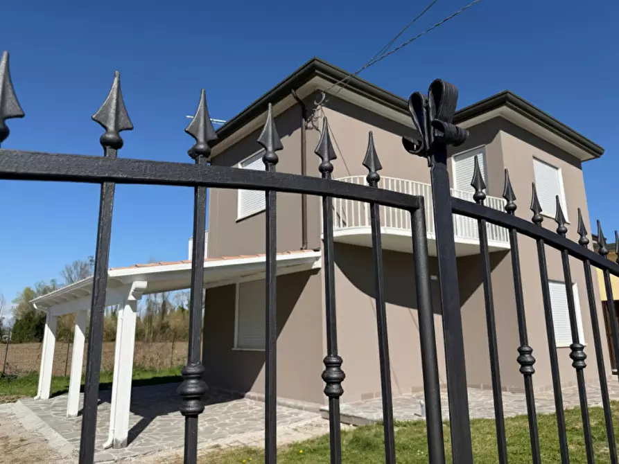 Immagine 3 di Casa bifamiliare in affitto  a Rovigo