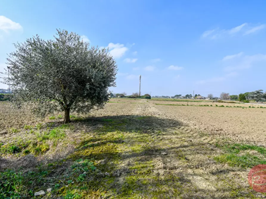 Immagine 5 di Casa indipendente in vendita  a Cesena