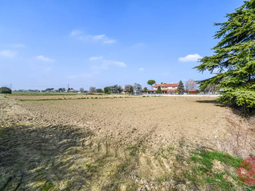 Immagine 6 di Casa indipendente in vendita  a Cesena