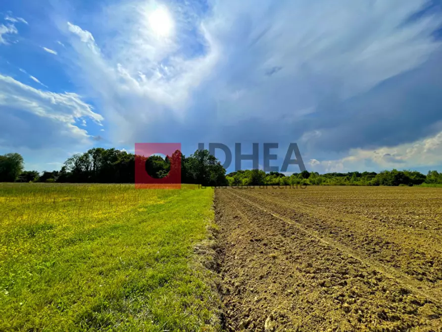Immagine 1 di Terreno in vendita  a Treviso