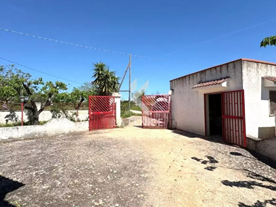 Immagine 5 di Casa indipendente in vendita  in strada franzullo 41 a Martina Franca