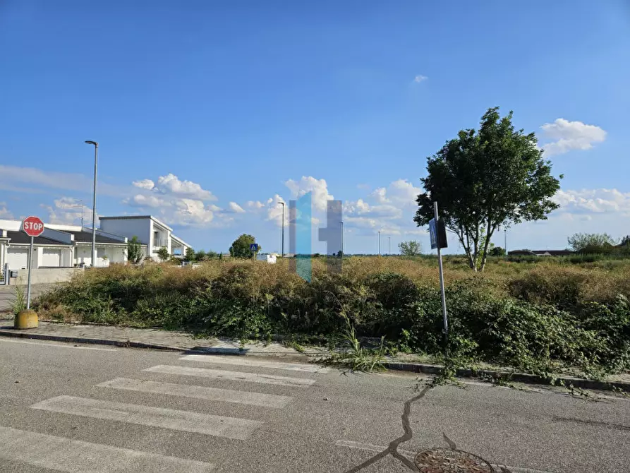 Immagine 3 di Terreno in vendita  in Via Eugenio Montale a Borgo Virgilio