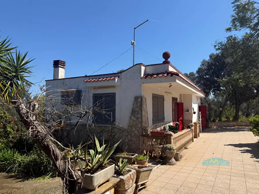 Immagine 4 di Rustico / casale in vendita  in Via Turco Camarda a Ceglie Messapico
