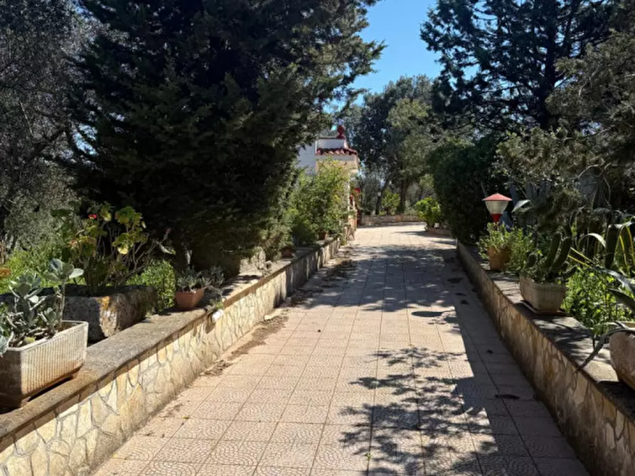 Immagine 5 di Rustico / casale in vendita  in Via Turco Camarda a Ceglie Messapico