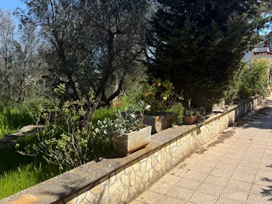 Immagine 6 di Rustico / casale in vendita  in Via Turco Camarda a Ceglie Messapico