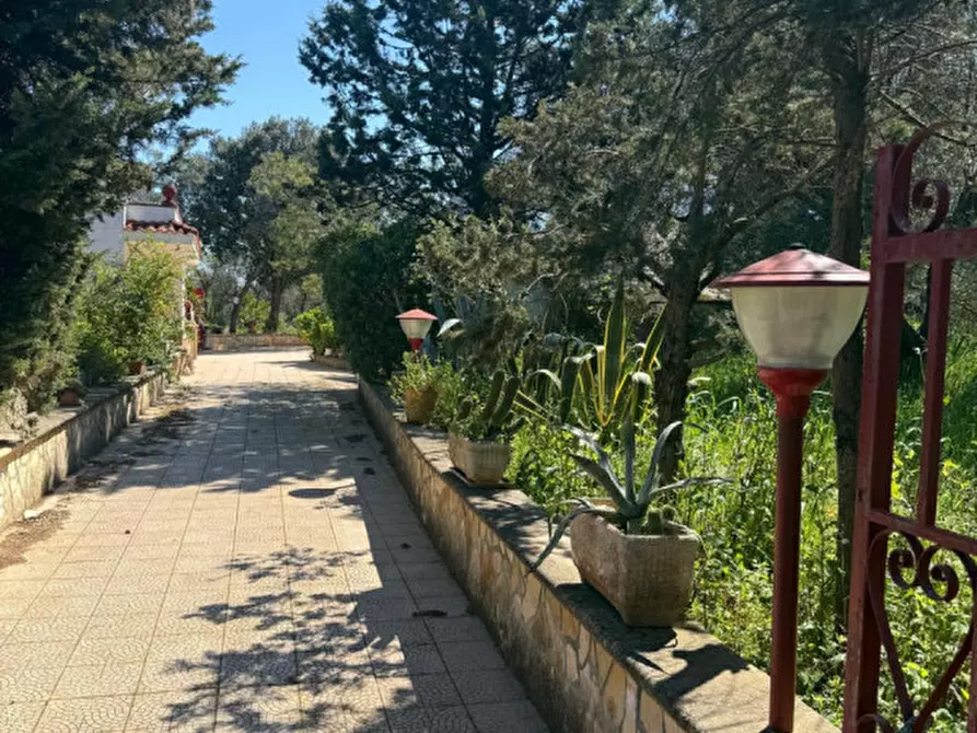 Immagine 7 di Rustico / casale in vendita  in Via Turco Camarda a Ceglie Messapico