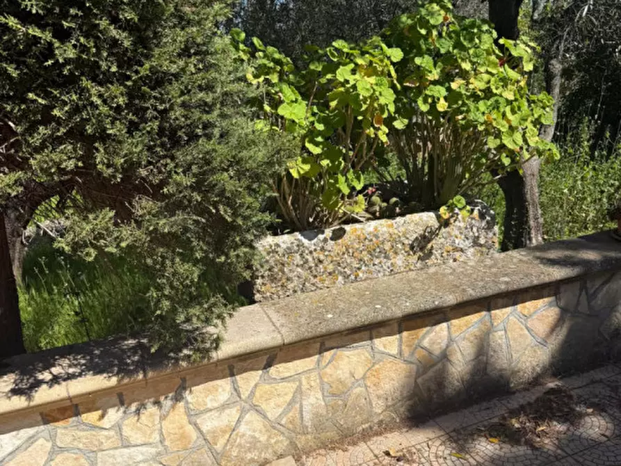 Immagine 19 di Rustico / casale in vendita  in Via Turco Camarda a Ceglie Messapico