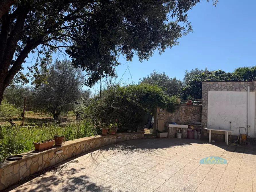 Immagine 24 di Rustico / casale in vendita  in Via Turco Camarda a Ceglie Messapico