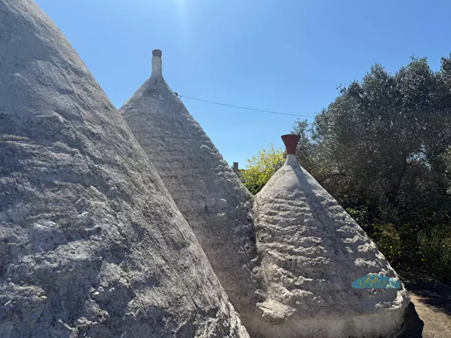 Immagine 28 di Rustico / casale in vendita  in Via Turco Camarda a Ceglie Messapico