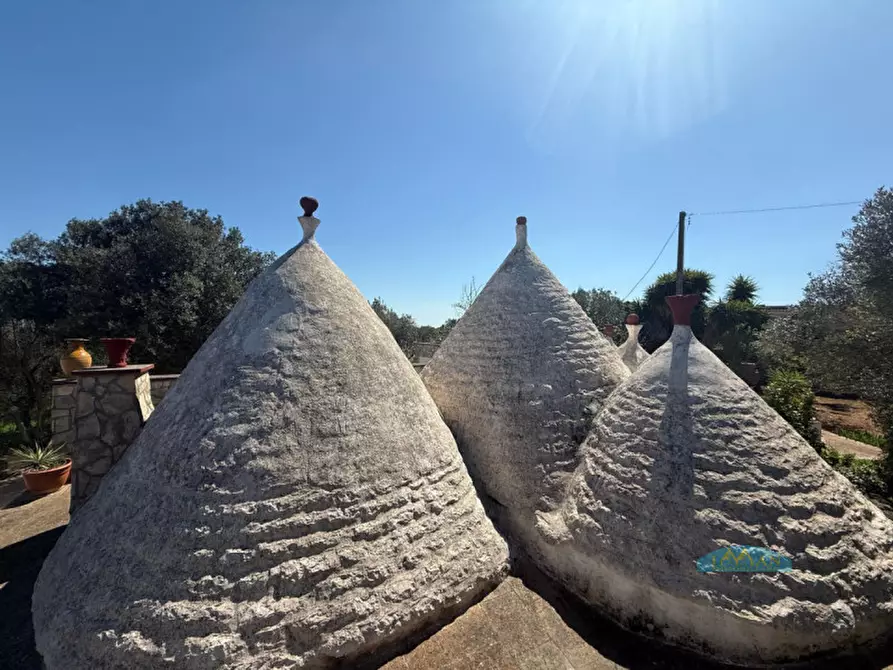 Immagine 29 di Rustico / casale in vendita  in Via Turco Camarda a Ceglie Messapico