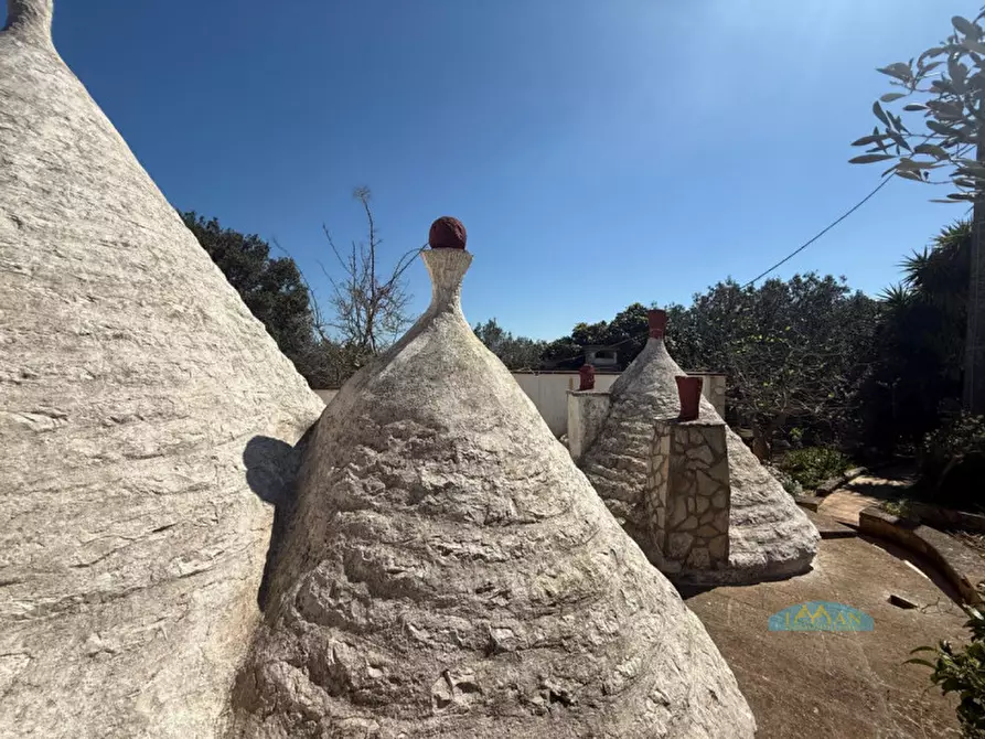 Immagine 31 di Rustico / casale in vendita  in Via Turco Camarda a Ceglie Messapico