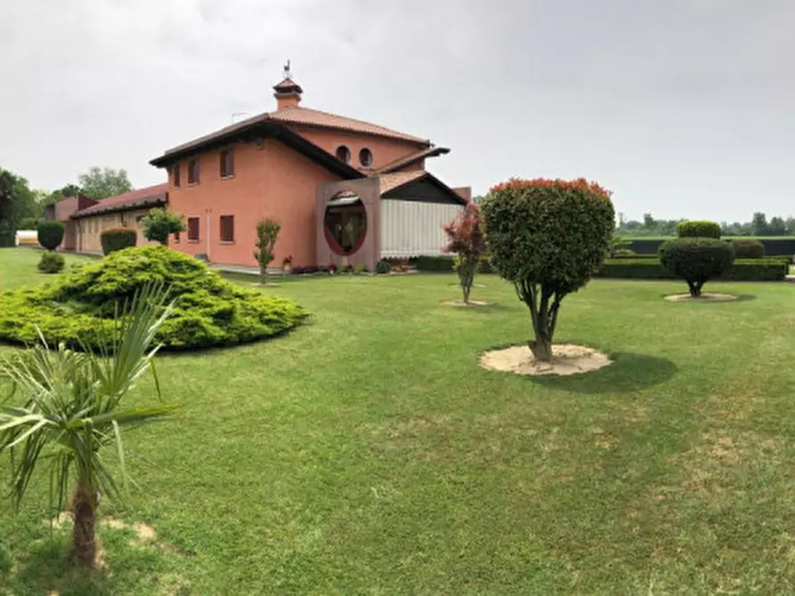 Immagine 3 di Villa in vendita  a Noale
