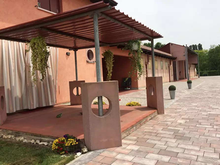 Immagine 7 di Villa in vendita  a Noale