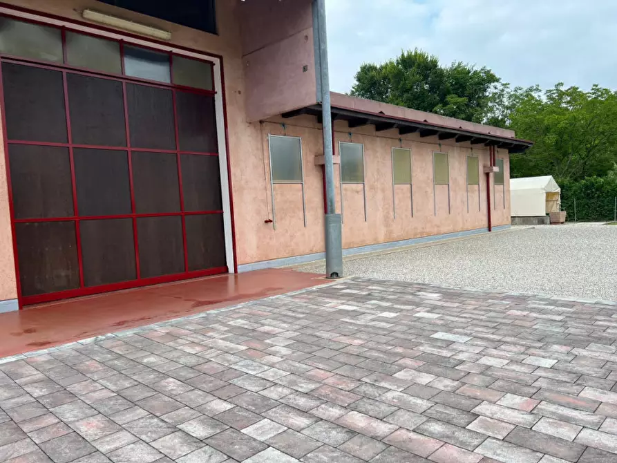 Immagine 10 di Villa in vendita  a Noale