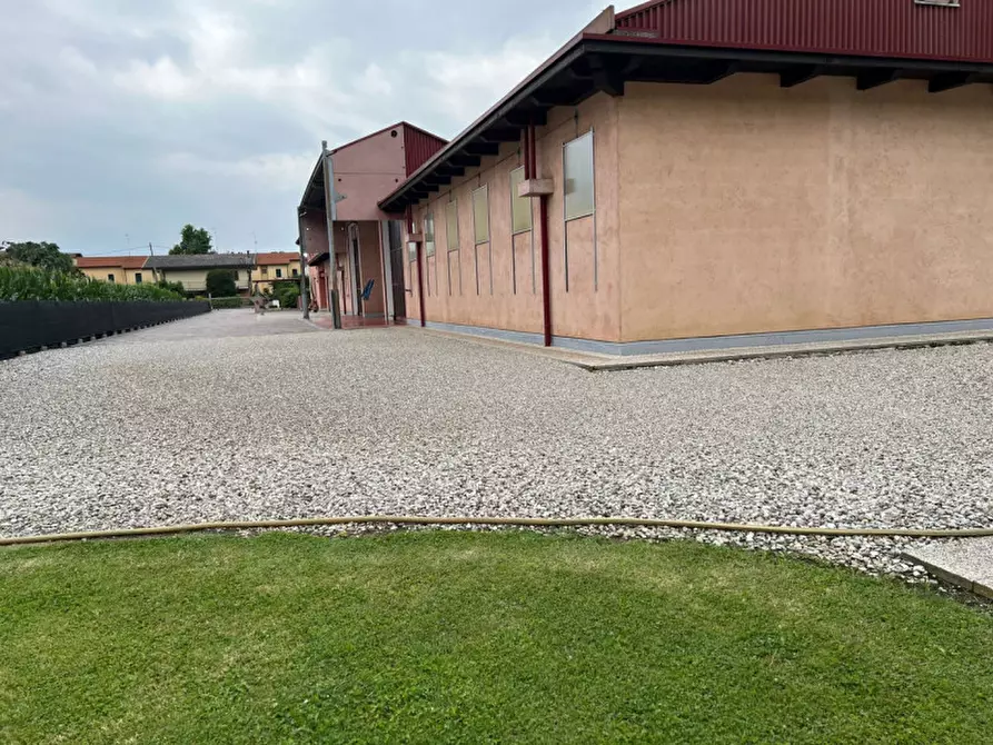 Immagine 11 di Villa in vendita  a Noale