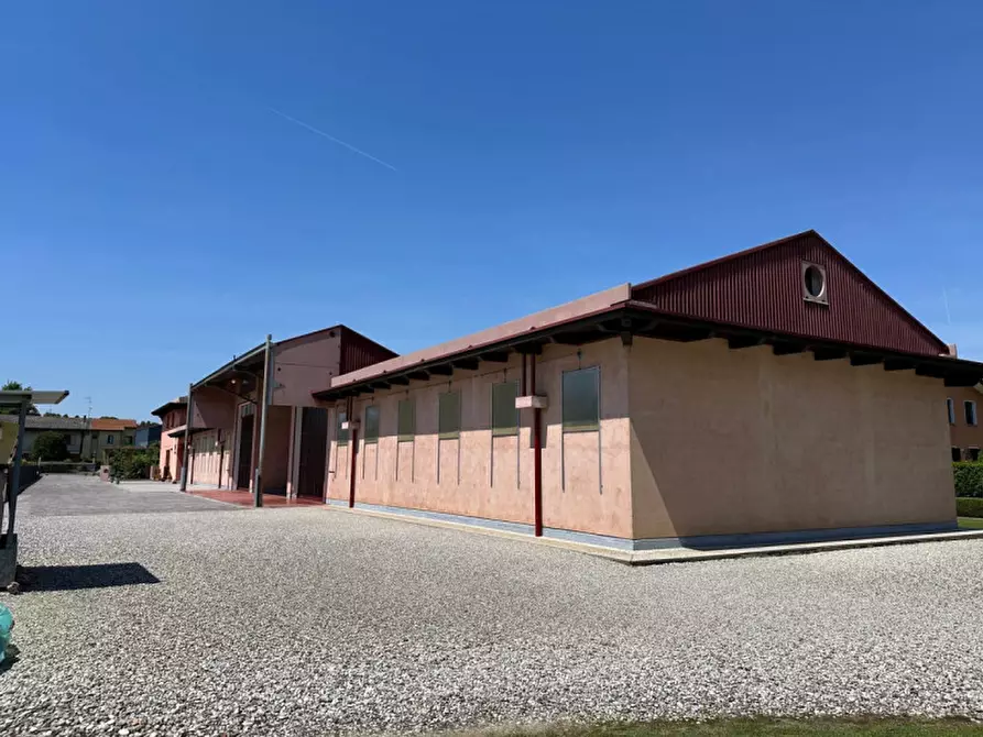 Immagine 12 di Villa in vendita  a Noale