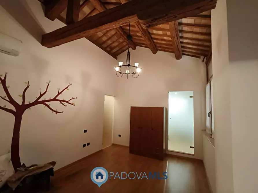 Immagine 14 di Rustico / casale in vendita  in Via Ca' Ferrante,1 a Casalserugo