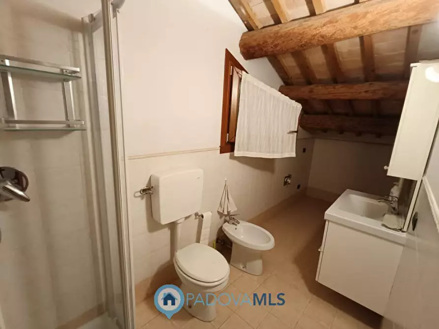 Immagine 21 di Rustico / casale in vendita  in Via Ca' Ferrante,1 a Casalserugo
