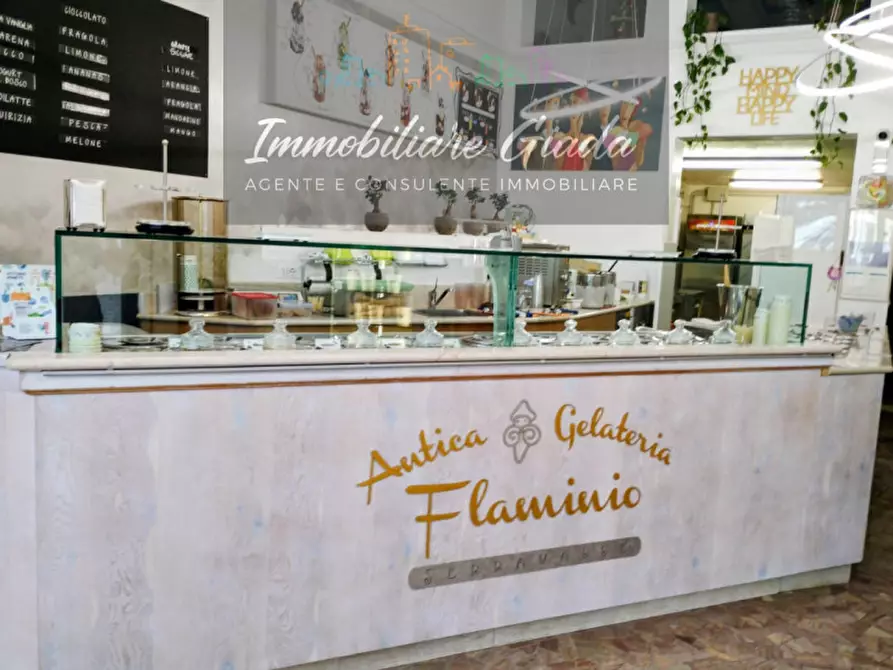Immagine 1 di Attività commerciale in vendita  a Vittorio Veneto