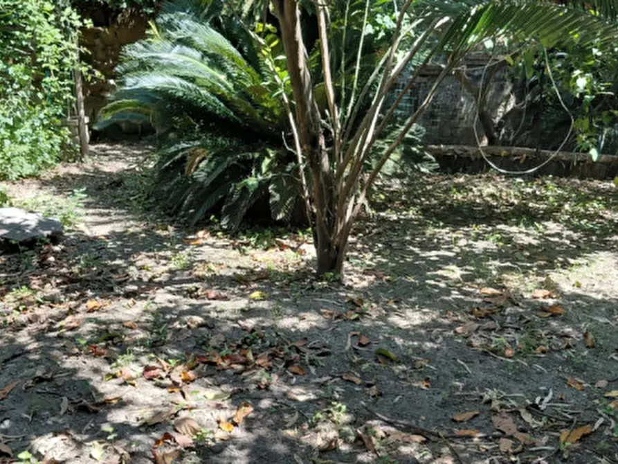 Immagine 2 di Appartamento in affitto  in via marechiaro 120 a Napoli