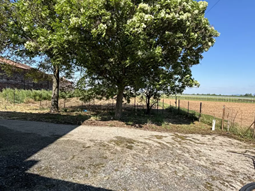 Immagine 4 di Villetta a schiera in vendita  in Via Canaletta a Pozzonovo