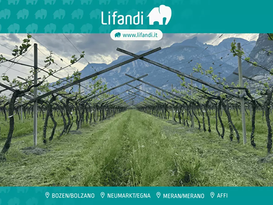 Immagine 1 di Terreno in vendita  a Salorno .Salurn.