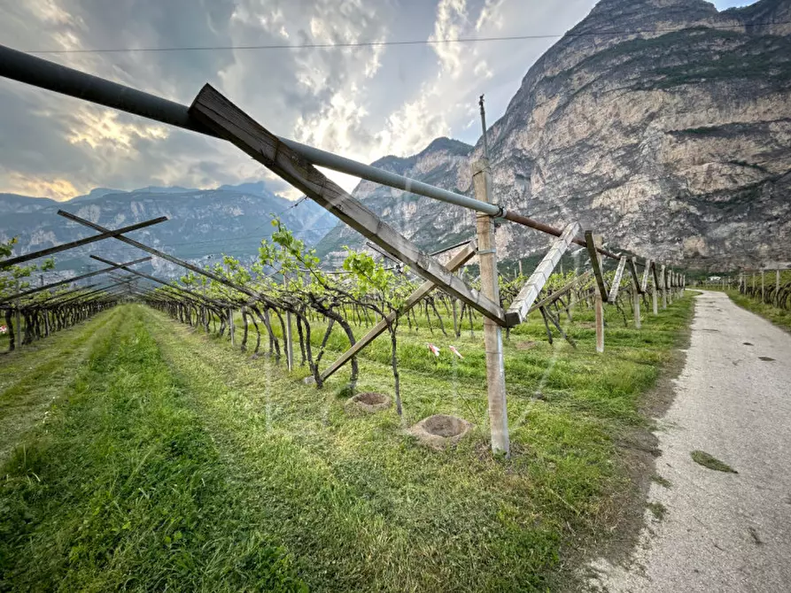Immagine 3 di Terreno in vendita  a Salorno .Salurn.