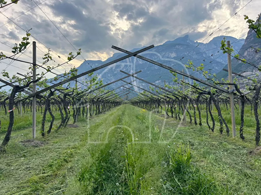 Immagine 4 di Terreno in vendita  a Salorno .Salurn.