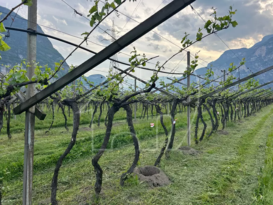 Immagine 5 di Terreno in vendita  a Salorno .Salurn.
