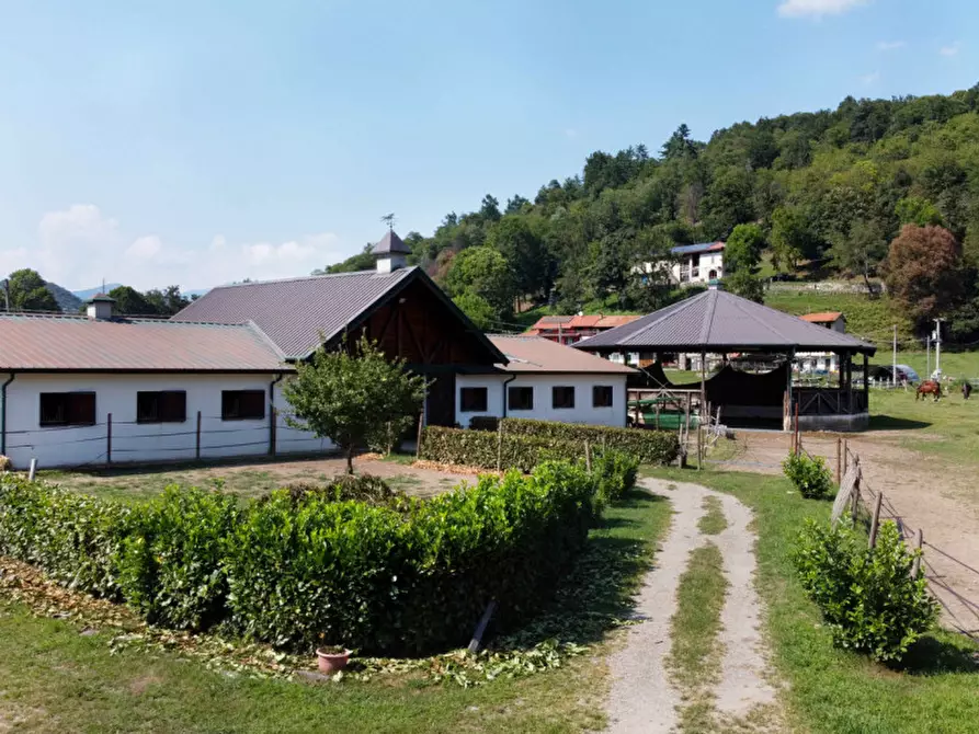 Immagine 5 di Casa quadrifamiliare in vendita  in regione monte oro 7 a Ameno